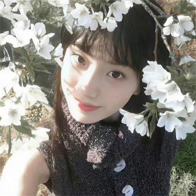 重庆森林